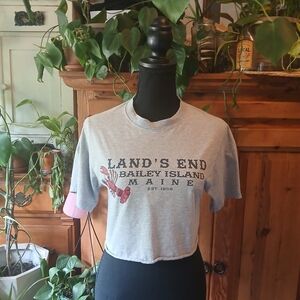 Maine Souvenir Cropped Tee One of a Kind Y2K Vacation Lobster Coastal Vibes XS